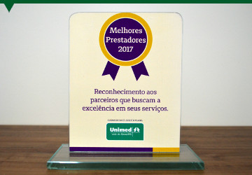 Melhor prestador de serviço em 2017